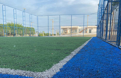 CAMPO2